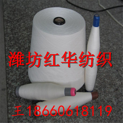 【滌綸阻燃紗30支 大化纖阻燃紗30S 專業(yè)生產(chǎn)阻燃紗線廠家】價(jià)格_廠家_圖片 -