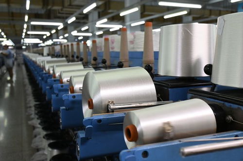 特別報(bào)道 這群老外,今天因何對(duì)吉林化纖豎起了大拇指