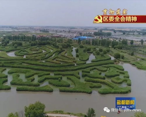 貫徹落實(shí)區(qū)委十四屆五次全會(huì)精神 大縱湖旅游度假區(qū)以項(xiàng)目快建設(shè)推動(dòng)旅游產(chǎn)業(yè)蓬勃發(fā)展